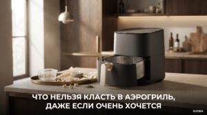 Что нельзя класть в аэрогриль даже если очень хочется